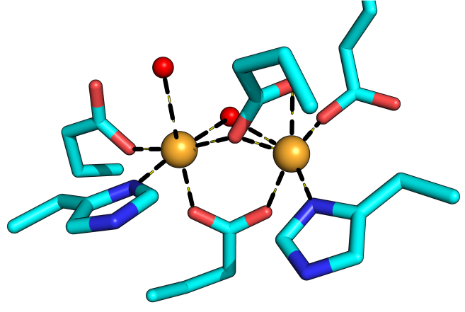 Metalloenzymology research in the Banerjee lab